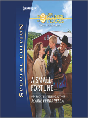 cover image of A Small Fortune